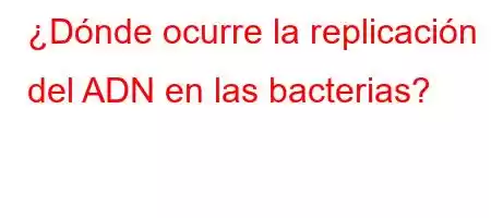 ¿Dónde ocurre la replicación del ADN en las bacterias