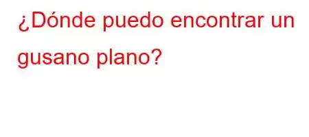 ¿Dónde puedo encontrar un gusano plano?