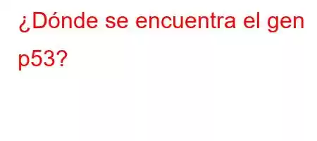 ¿Dónde se encuentra el gen p53