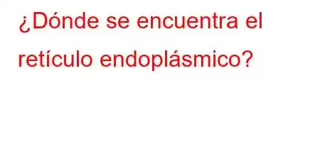 ¿Dónde se encuentra el retículo endoplásmico?