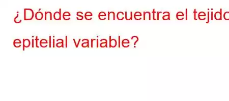 ¿Dónde se encuentra el tejido epitelial variable