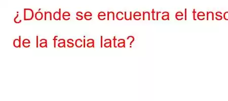 ¿Dónde se encuentra el tensor de la fascia lata?