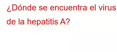 ¿Dónde se encuentra el virus de la hepatitis A?