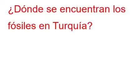 ¿Dónde se encuentran los fósiles en Turquía