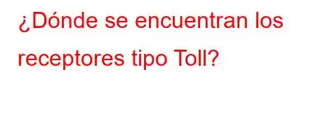 ¿Dónde se encuentran los receptores tipo Toll