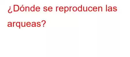 ¿Dónde se reproducen las arqueas?