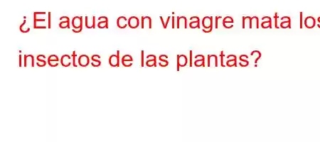 ¿El agua con vinagre mata los insectos de las plantas?