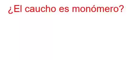 ¿El caucho es monómero?