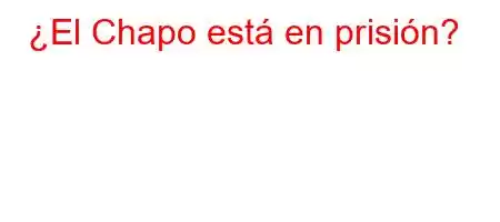 ¿El Chapo está en prisión?