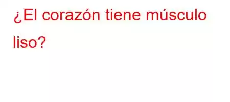 ¿El corazón tiene músculo liso?