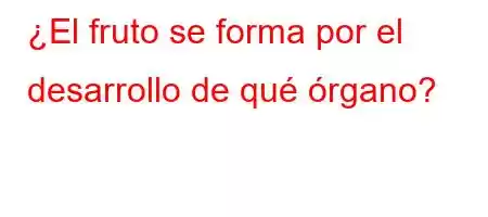 ¿El fruto se forma por el desarrollo de qué órgano