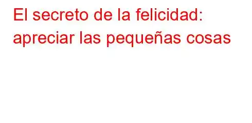 El secreto de la felicidad: apreciar las pequeñas cosas