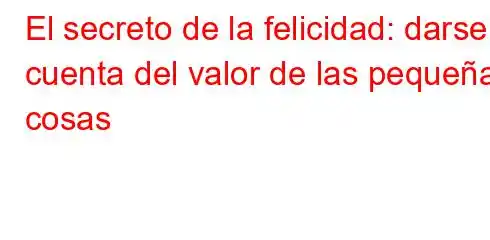 El secreto de la felicidad: darse cuenta del valor de las pequeñas cosas