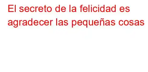 El secreto de la felicidad es agradecer las pequeñas cosas