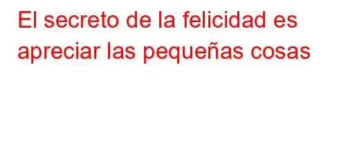 El secreto de la felicidad es apreciar las pequeñas cosas