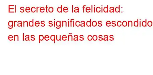 El secreto de la felicidad: grandes significados escondidos en las pequeñas cosas