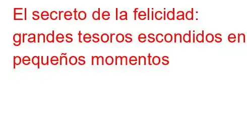 El secreto de la felicidad: grandes tesoros escondidos en pequeños momentos