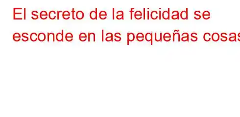 El secreto de la felicidad se esconde en las pequeñas cosas