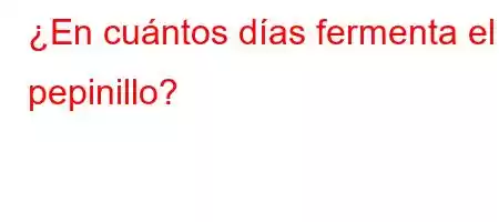 ¿En cuántos días fermenta el pepinillo