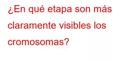 ¿En qué etapa son más claramente visibles los cromosomas