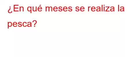 ¿En qué meses se realiza la pesca