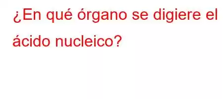 ¿En qué órgano se digiere el ácido nucleico