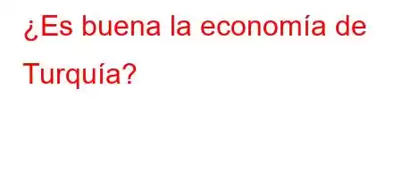 ¿Es buena la economía de Turquía