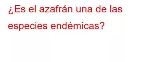 ¿Es el azafrán una de las especies endémicas