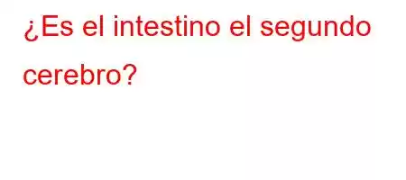 ¿Es el intestino el segundo cerebro?