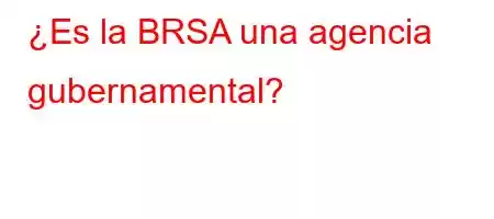 ¿Es la BRSA una agencia gubernamental