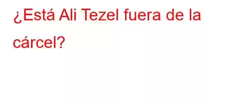 ¿Está Ali Tezel fuera de la cárcel?