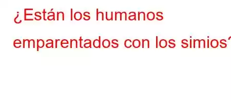 ¿Están los humanos emparentados con los simios?