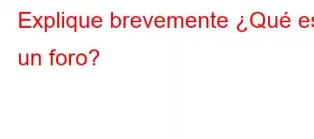 Explique brevemente ¿Qué es un foro?