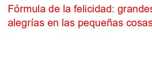 Fórmula de la felicidad: grandes alegrías en las pequeñas cosas