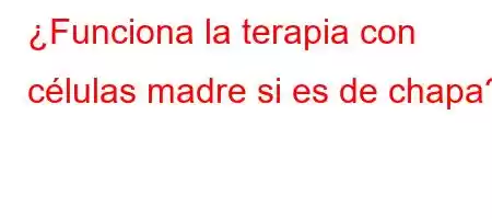 ¿Funciona la terapia con células madre si es de chapa?