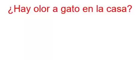 ¿Hay olor a gato en la casa?