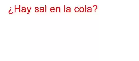 ¿Hay sal en la cola