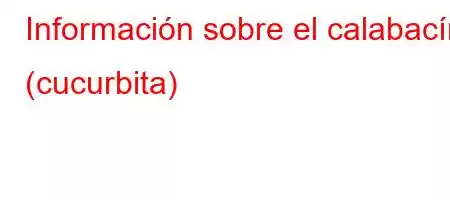 Información sobre el calabacín (cucurbita)