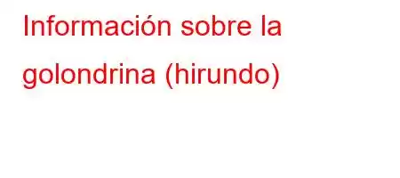 Información sobre la golondrina (hirundo)