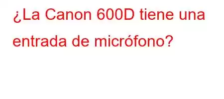 ¿La Canon 600D tiene una entrada de micrófono