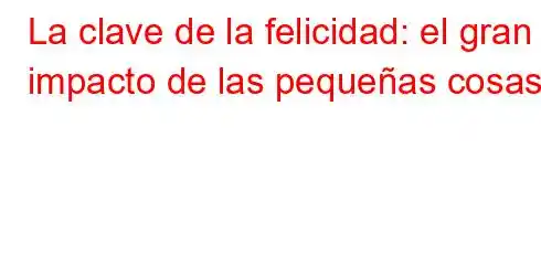 La clave de la felicidad: el gran impacto de las pequeñas cosas