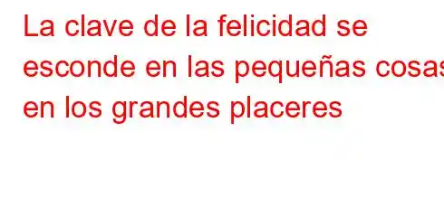 La clave de la felicidad se esconde en las pequeñas cosas, en los grandes placeres