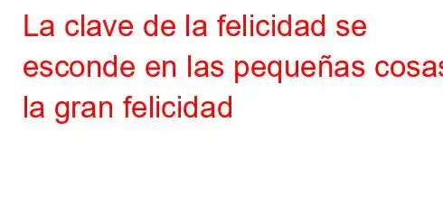 La clave de la felicidad se esconde en las pequeñas cosas, la gran felicidad