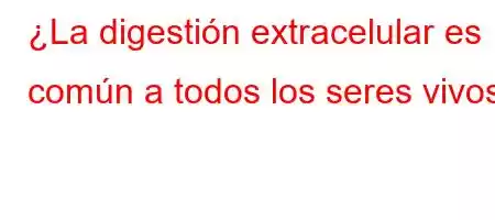 ¿La digestión extracelular es común a todos los seres vivos