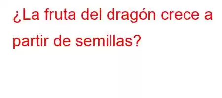 ¿La fruta del dragón crece a partir de semillas?