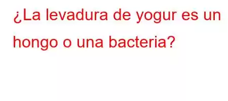 ¿La levadura de yogur es un hongo o una bacteria?