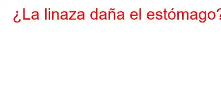 ¿La linaza daña el estómago?