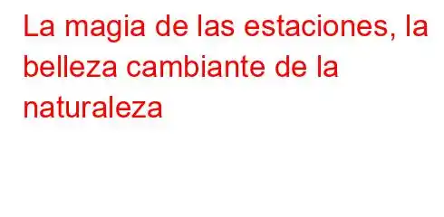 La magia de las estaciones, la belleza cambiante de la naturaleza