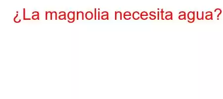 ¿La magnolia necesita agua?