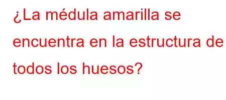 ¿La médula amarilla se encuentra en la estructura de todos los huesos